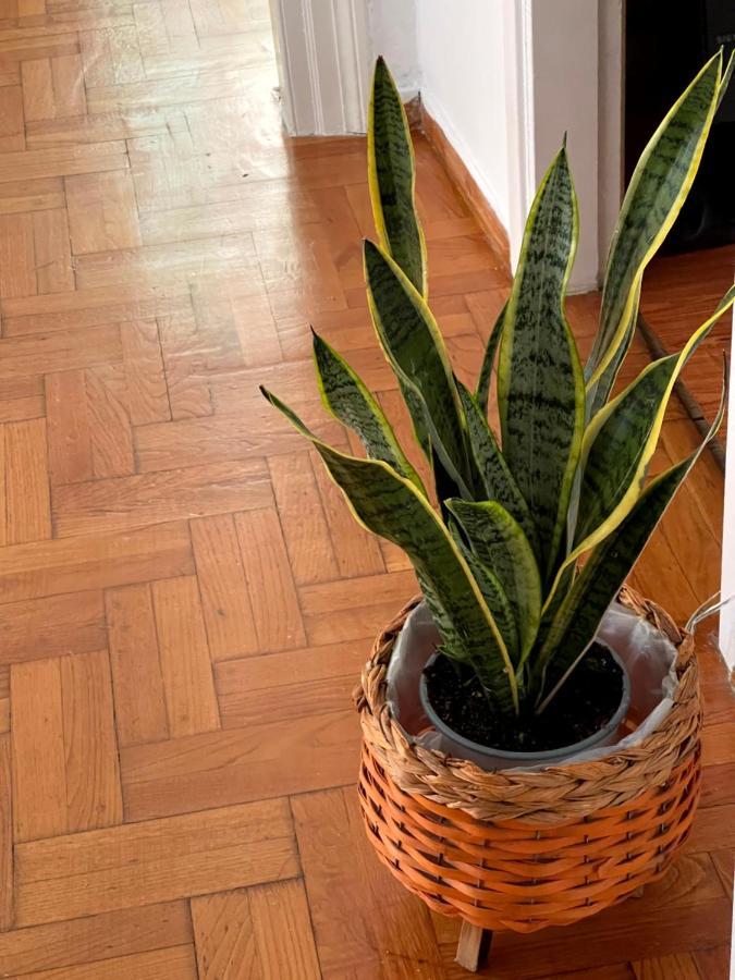 Ferienwohnung Η Ελπίδα Και Η Γιάννα Ξεκίνησαν Ένα Χώρο Cute Volos Exterior foto