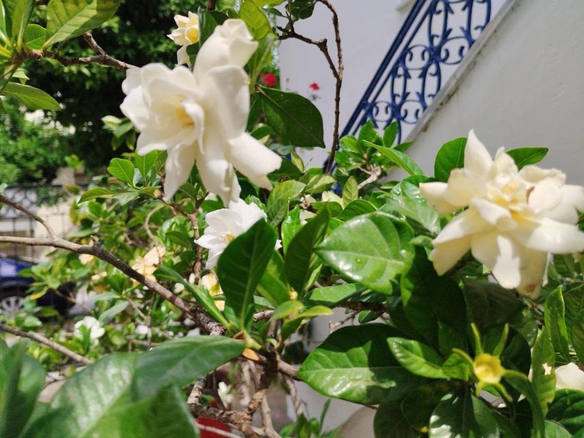 Ferienwohnung Η Ελπίδα Και Η Γιάννα Ξεκίνησαν Ένα Χώρο Cute Volos Exterior foto